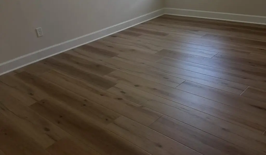 Transition Strips Between Same Flooring
